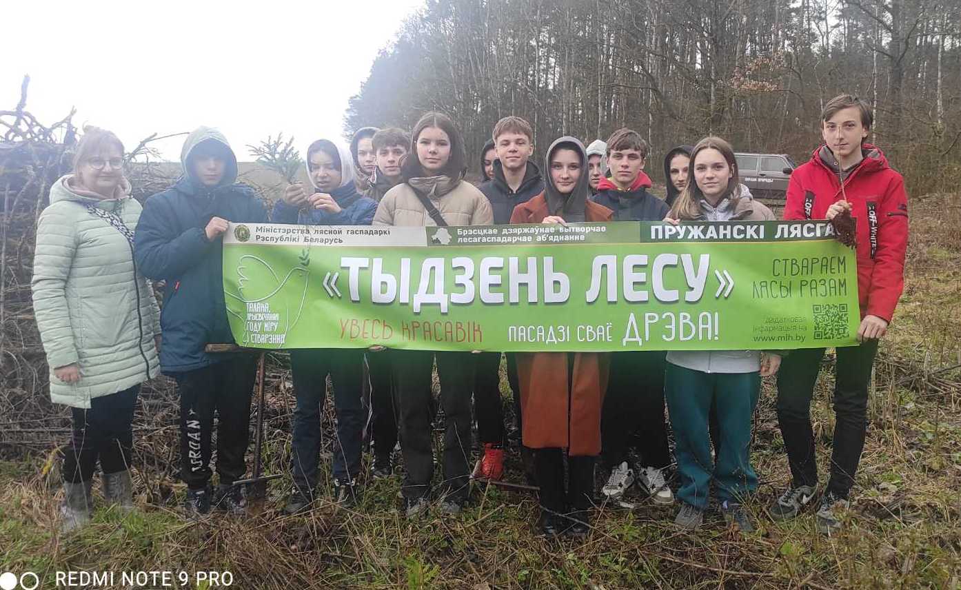 В добровольной акции "Неделя леса -2023" активное участие принимают школьники
