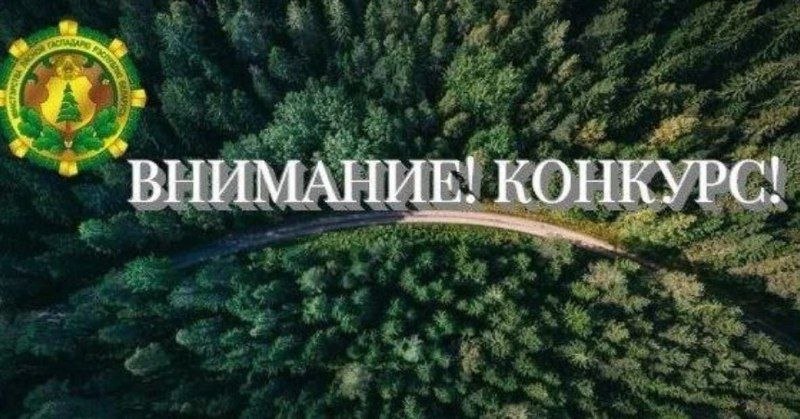 Приглашаем журналистов и блогеров принять участие в творческом конкурсе