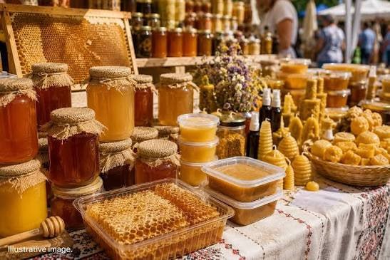 Выставка лесхозов с мёдом и деликатесами пройдёт в Бресте